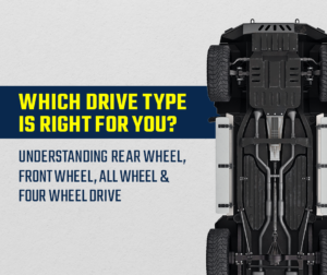 Berryman drive types