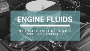 Engine Fluids