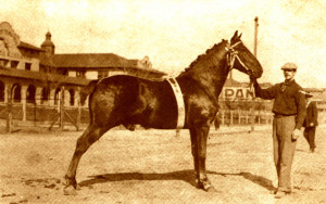 Berryman Products history history of Berryman Products