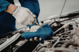 checking engine oil dipstick