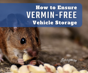 vermin free vehicle storage